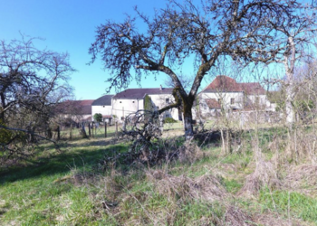 B&B in France