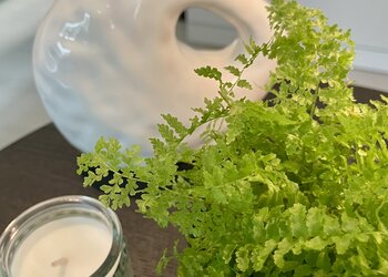 Chambres d'hotes en france