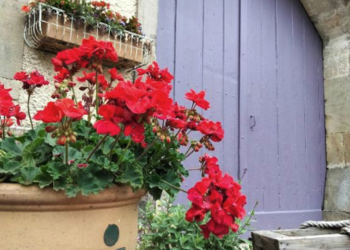 Chambres d'hotes en france