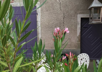 Chambres d'hotes en france