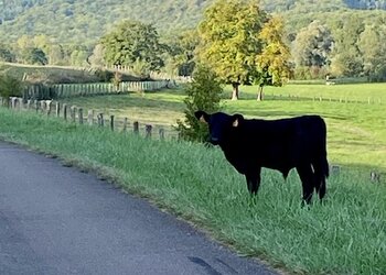 Chambres d'Hôtes in Frankrijk
