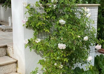 Chambres d'Hôtes in Frankrijk