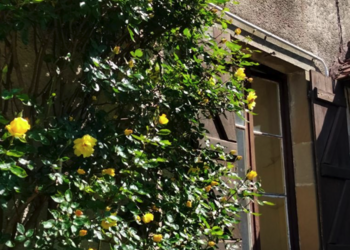 Chambres d'Hôtes in Frankrijk