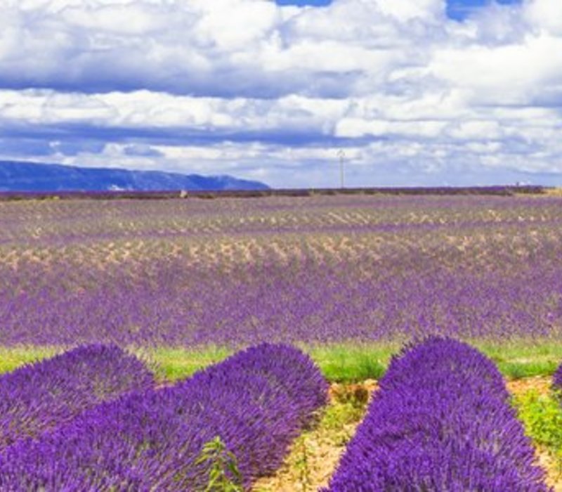 Home - B&B In France